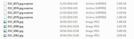 Decrypt .surprise file extension ransomware and remove virus