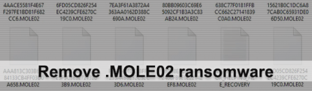 Remove MOLE02 ransomware virus and decrypt .mole02 files (upd. June 15)