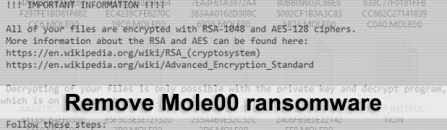 Mole00 ransomware: how to decrypt virus .MOLE00 files