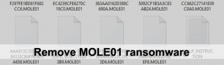 MOLE01 ransomware virus – how to decrypt .MOLE01 files