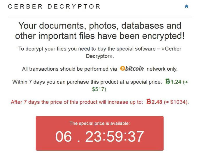 Information displayed on the Cerber Decryptor page