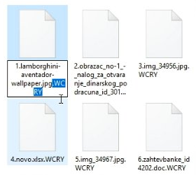 Encrypted files with the .wcry extension