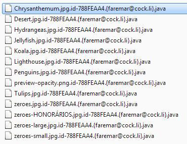 Hostage files with the .java extension