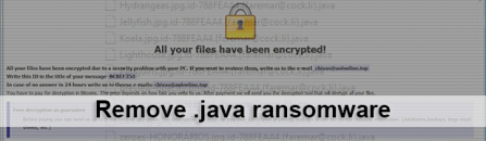 Remove Java ransomware and decrypt .java virus files