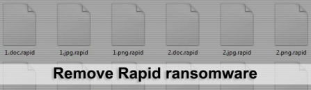 Decrypt and remove .Rapid ransomware virus