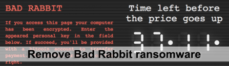 Bad Rabbit ransomware removal and data recovery