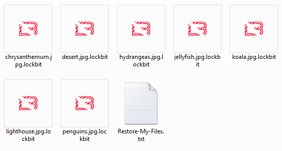 Inaccessible files with the .lockbit extension, plus a ransom note inside the same folder