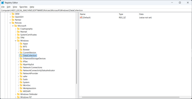 regedit DataCollection key