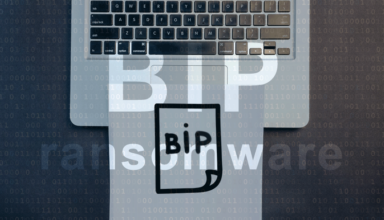 Decrypt and remove .bip files ransomware