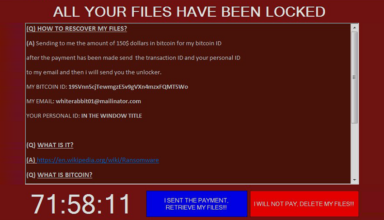 Fenrir ransomware: removal and decryption techniques