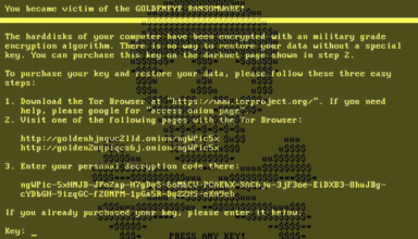 Goldeneye ransomware: virus decryption and removal