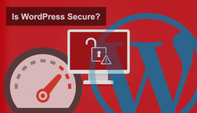 Is WordPress secure? Here’s what research shows