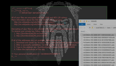 Odin virus removal: how to decrypt .odin extension files