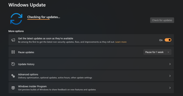 Step 6 - Windows Update